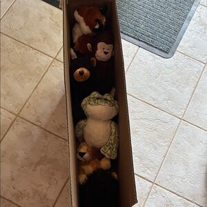 Mystery Box #6 - Webkinz Plush Animal Toy Collection